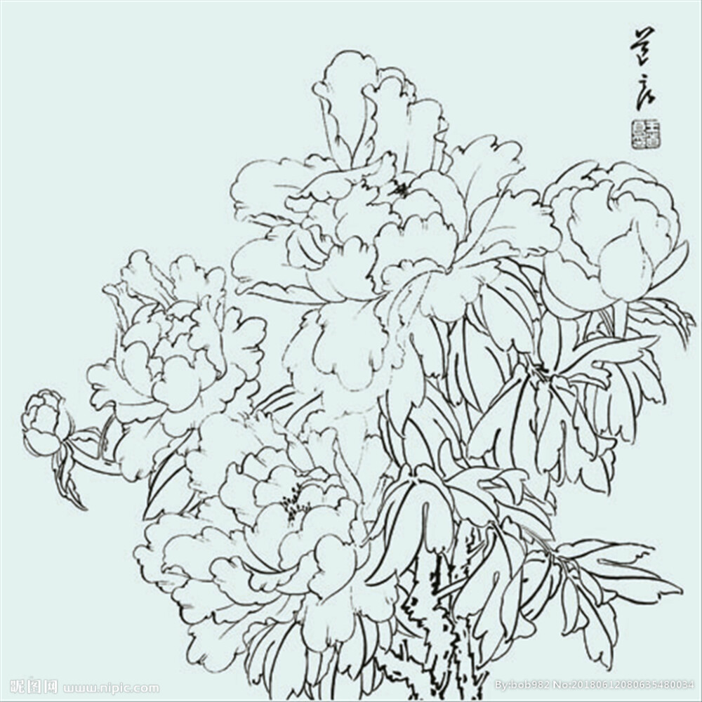 花鸟白描，图源网络，侵删致歉