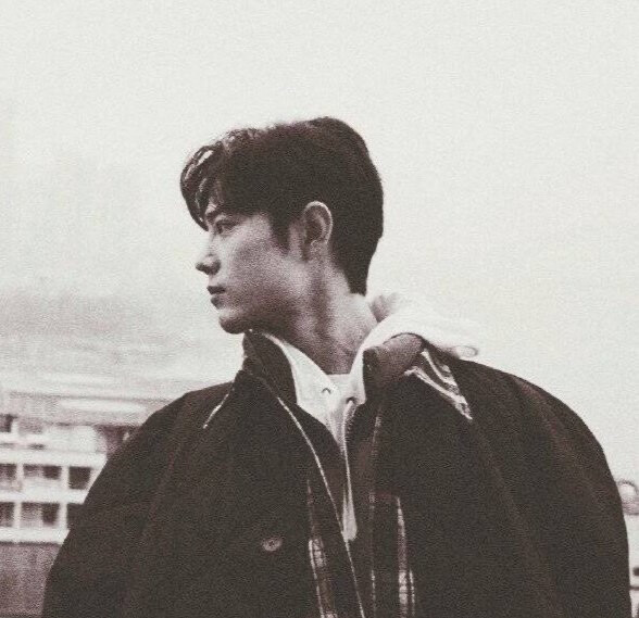 战山为王连琑反应博君一肖