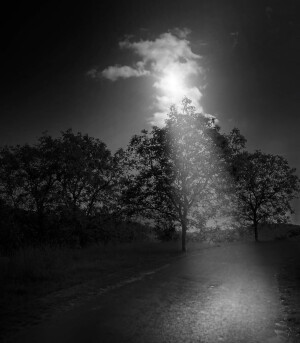 04你的喜欢会为它渡上一层金光