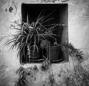 04你的喜欢会为它渡上一层金光