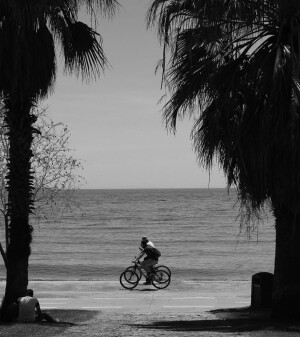 04你的喜欢会为它渡上一层金光