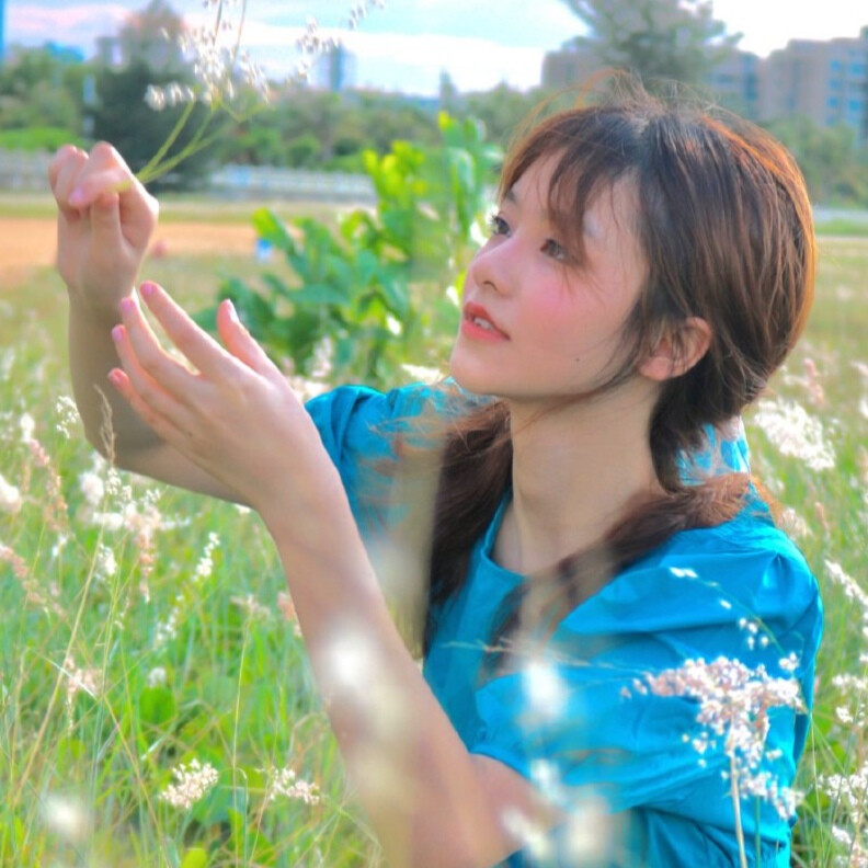 葵花妙飞鱼