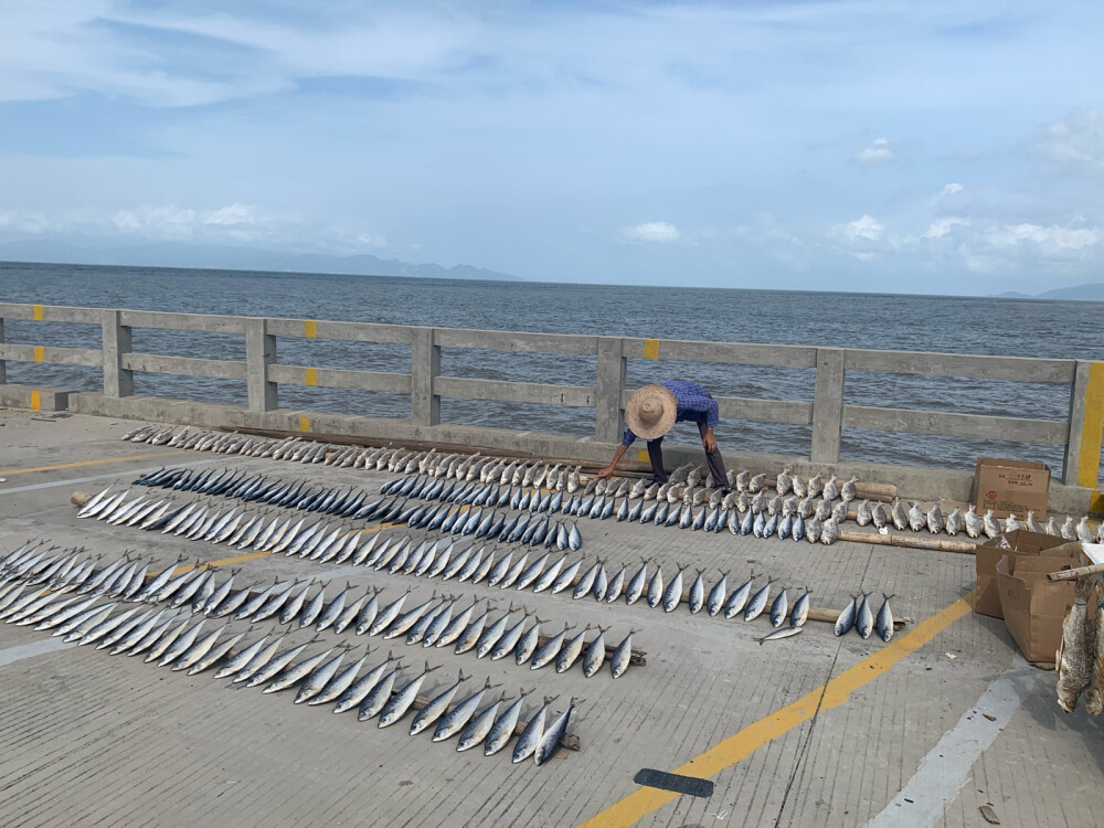 海边旅行地推荐江门台山市下川岛