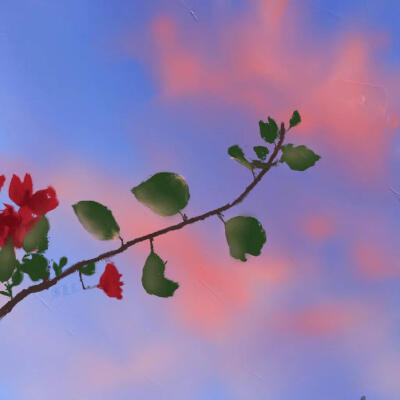 [背景/头像]纯字‖纯景‖文字朋友圈pyq背景图‖静景‖安静‖温柔