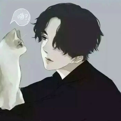 猫与少年