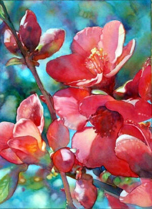 美国艺术家 Jeannie Vodden 的水彩花卉 ​​​​#绘画欣赏#  ~~转