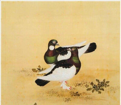 一花一世界，一鸟一天堂！清康雍两朝花鸟画家蒋廷锡 ​​​​#绘画欣赏# ~~转