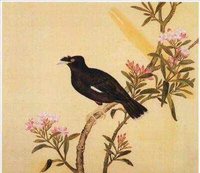 一花一世界，一鸟一天堂！清康雍两朝花鸟画家蒋廷锡 ​​​​#绘画欣赏# ~~转