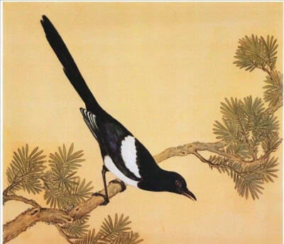 一花一世界，一鸟一天堂！清康雍两朝花鸟画家蒋廷锡 ​​​​#绘画欣赏# ~~转