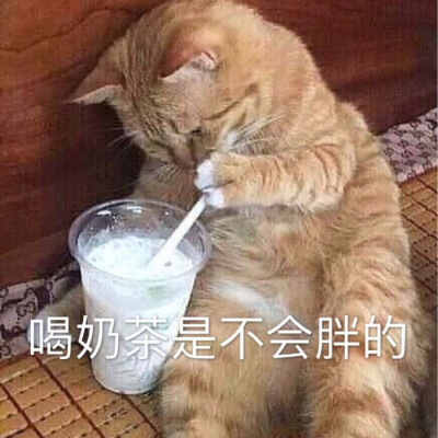 补作业去了