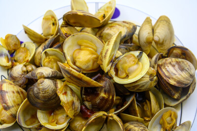 炒蛤蜊 蛤蜊 炒 炒菜 美食 食物 烹调 烹饪 容器 盘子 瓷盘 异形盘 白色瓷盘 圆盘子 静物 食品 中国 新鲜 特写 海鲜 贝壳 饮食 美味 形状 白色背景 摄影 亚洲 健康食物 海产 甲壳动物 有机食品 食物状态 营养 饮食文…