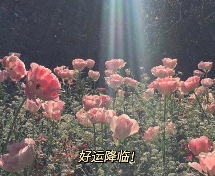 七月
祝你也祝我