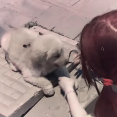 二传注明图源堆糖揪泡