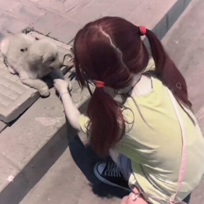 二传注明图源堆糖揪泡