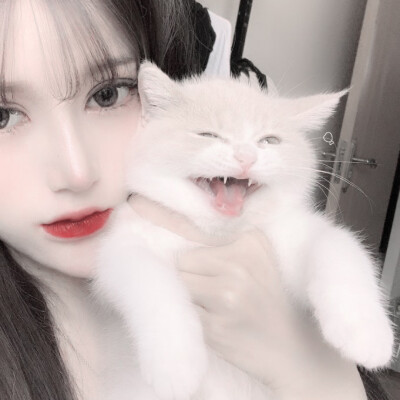 二传注明图源堆糖揪泡