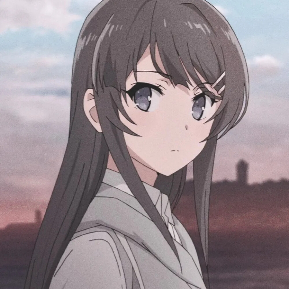 动漫女青春猪头少年不会梦到兔女郎学姐