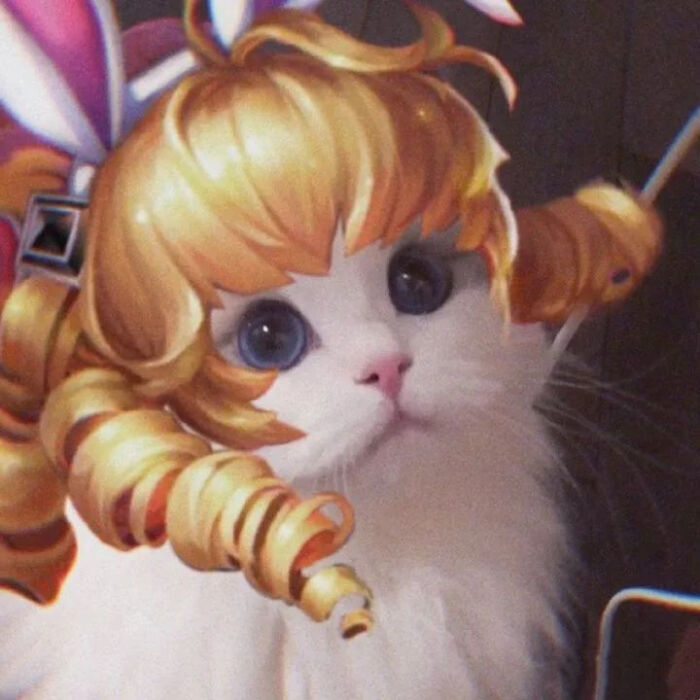 猫咪王者接头:瑶妹,妲己 图源:微博超话:吴kiwi是一只布偶 辛苦收集