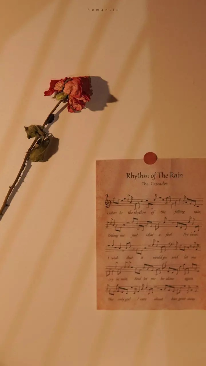 我知道那些夏天就像青春一样，回不来