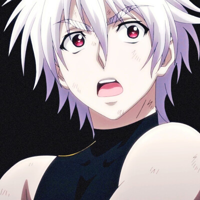 番剧：星掠者（完结）
角色：里希特·巴哈