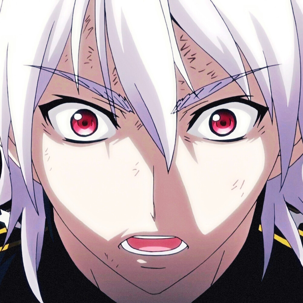 番剧：星掠者（完结）
角色：里希特·巴哈