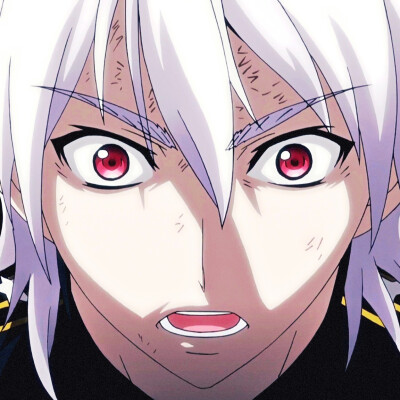 番剧：星掠者（完结）
角色：里希特·巴哈