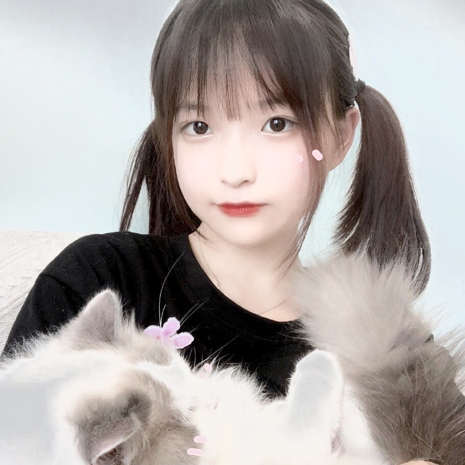 二传注明dt格子眠