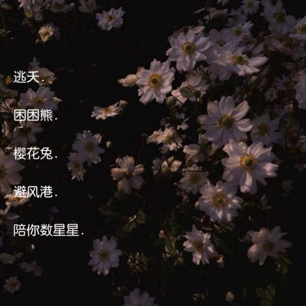 -网名
-图源网络 侵权歉删
-堆糖森亦ew