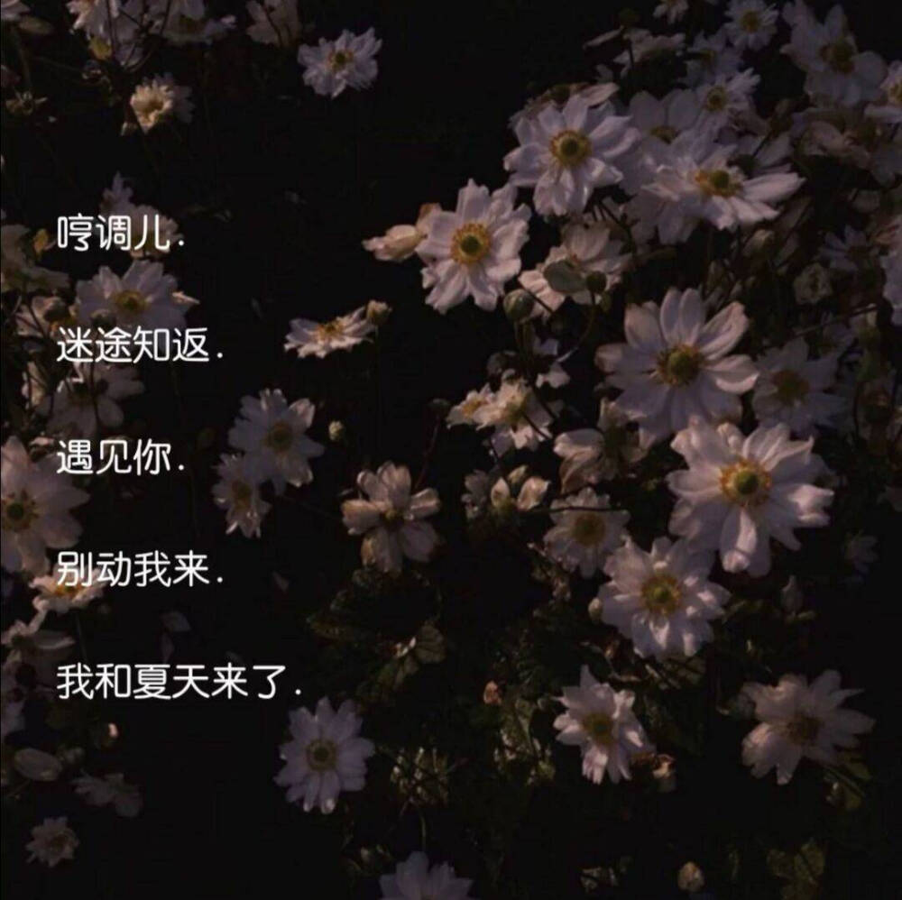 -网名
-图源网络 侵权歉删
-堆糖森亦ew