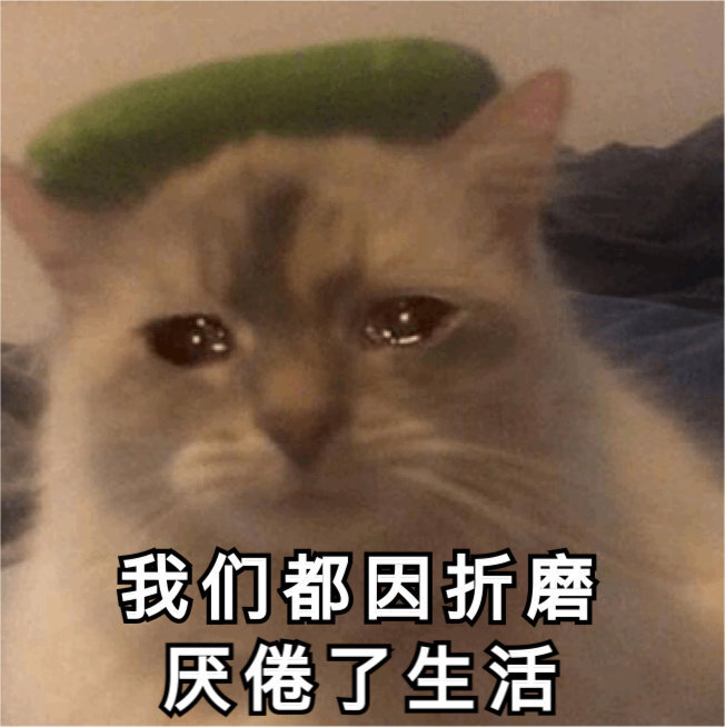 猫狗表情包