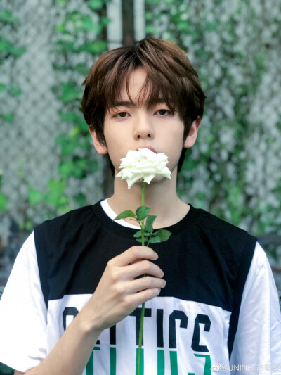 胡春杨（转存图片；图片来自网络）