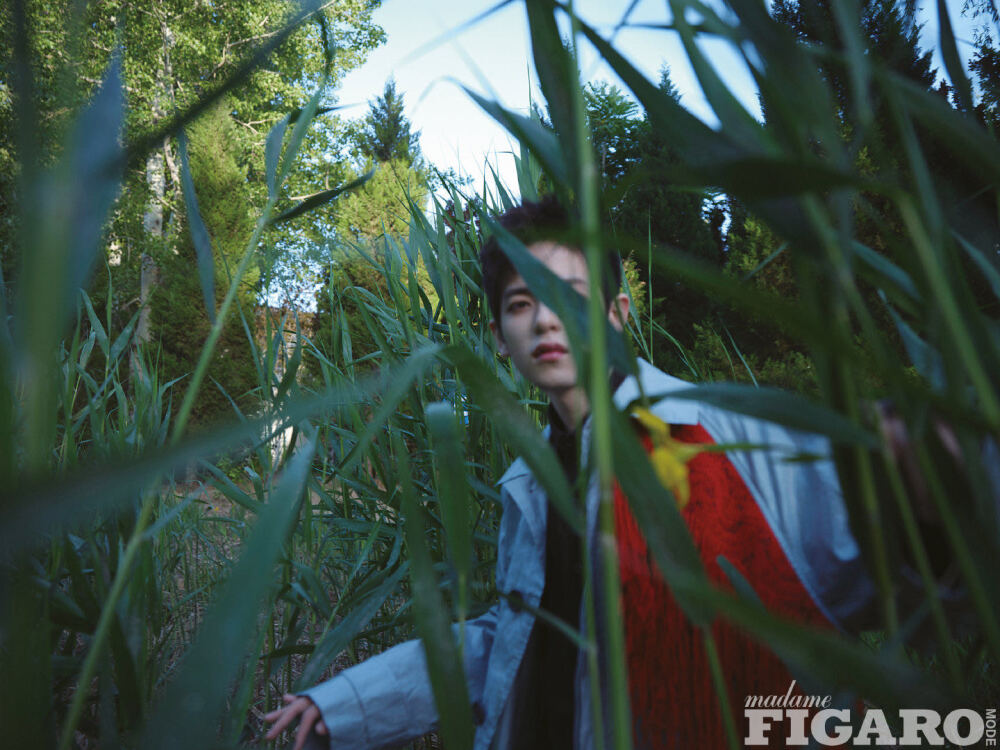 胡春杨（转存图片；图片来自网络）