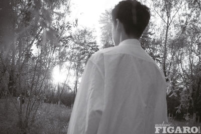 胡春杨（转存图片；图片来自网络）