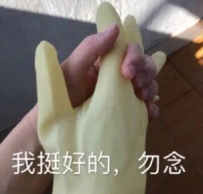 我的表情包