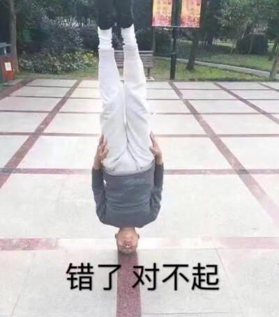 我的表情包