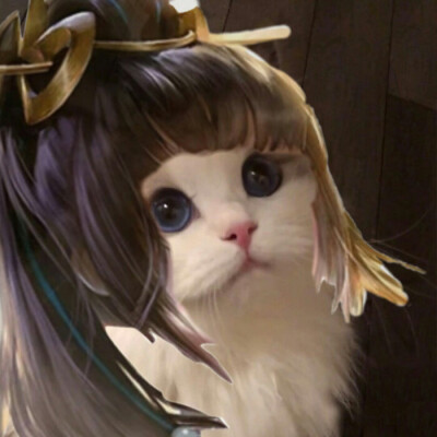 猫咪王者接头
图源：微博超话：吴kiwi是一只布偶
辛苦收集整理的，礼貌拿图，谢谢点赞收藏和关注