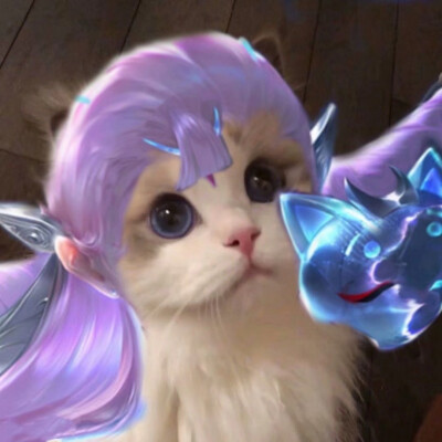 猫咪王者接头
图源：微博超话：吴kiwi是一只布偶
辛苦收集整理的，礼貌拿图，谢谢点赞收藏和关注