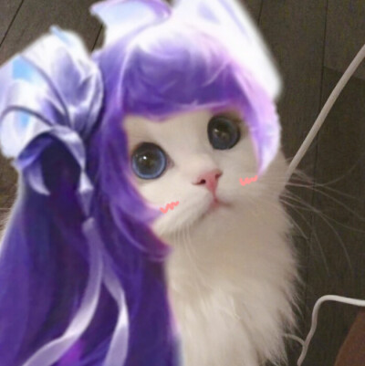 猫咪王者接头
图源：微博超话：吴kiwi是一只布偶
辛苦收集整理的，礼貌拿图，谢谢点赞收藏和关注