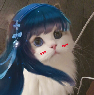 猫咪王者接头
图源：微博超话：吴kiwi是一只布偶
辛苦收集整理的，礼貌拿图，谢谢点赞收藏和关注