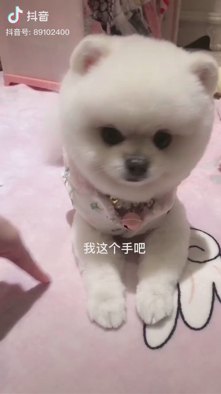 可爱