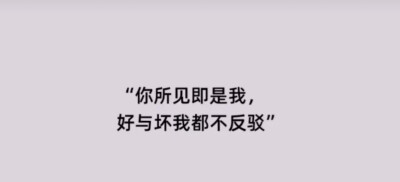 你所见即是我，好与坏我都不反驳