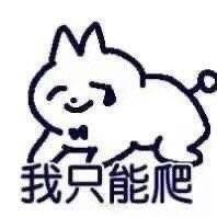 蓝猫