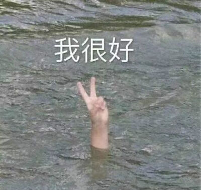 表情包 这组我很喜欢哈哈哈