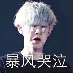 EXO 表情包