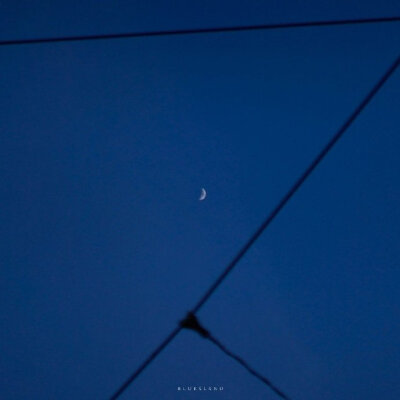 " 好好活着、因为会死很久 " ​​​​cr：早青见野