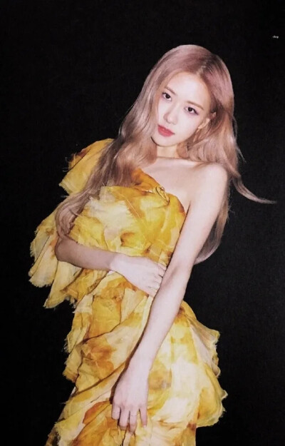 BLACKPINK
澳洲野玫瑰罗婕女士朴彩英ROSÉ