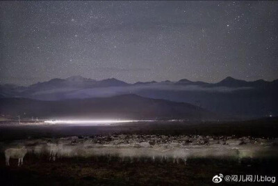 海北藏族自治州，祁连山脚下，
深沉的夜空透露着似有似无的光，
像平静的深海，不起半点波澜。