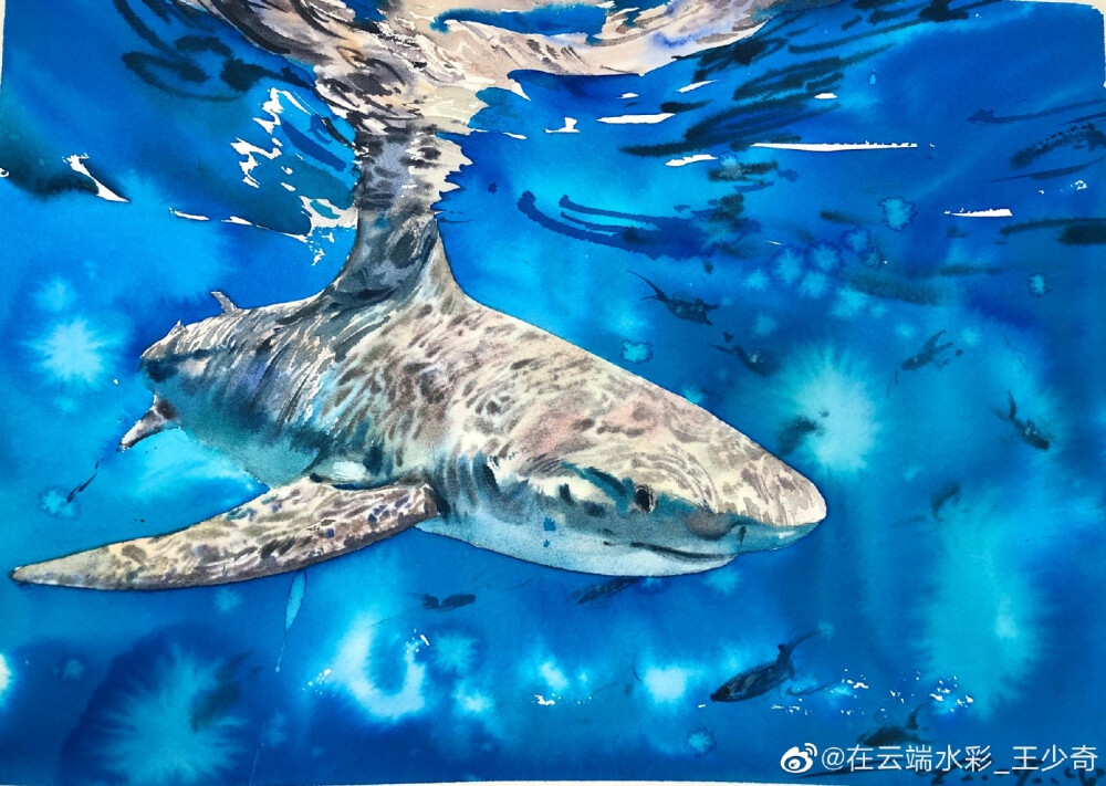 海蓝