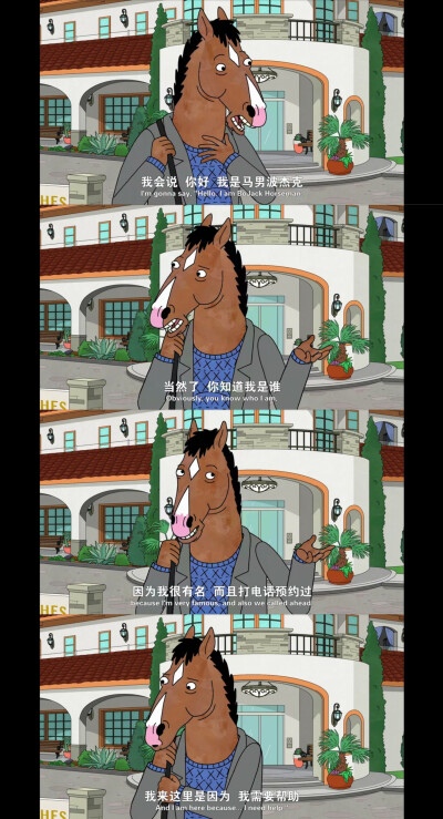 Bojack horseman