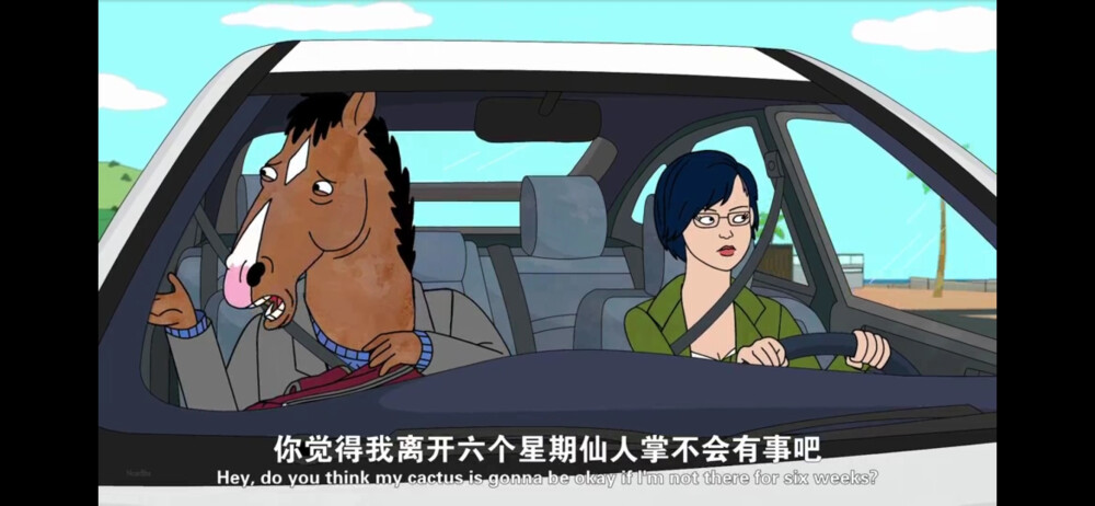 Bojack horseman