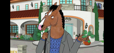 Bojack horseman